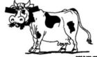 logo SARL